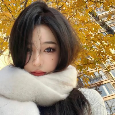 极速车魂第二季